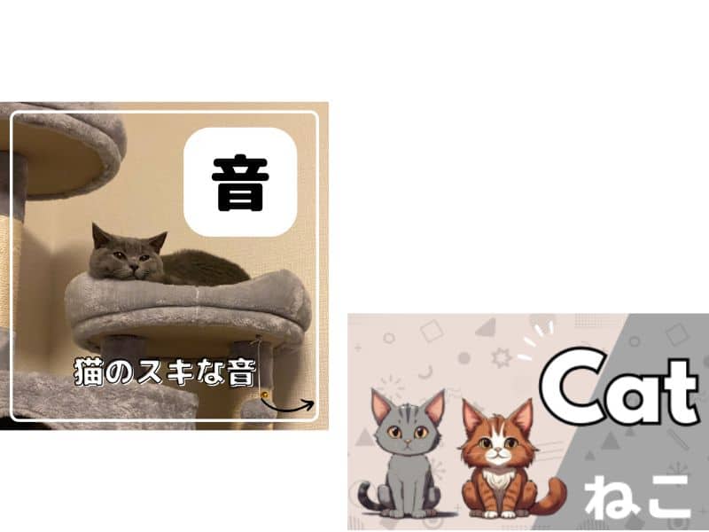猫が好きな音・嫌いな音についての画像
