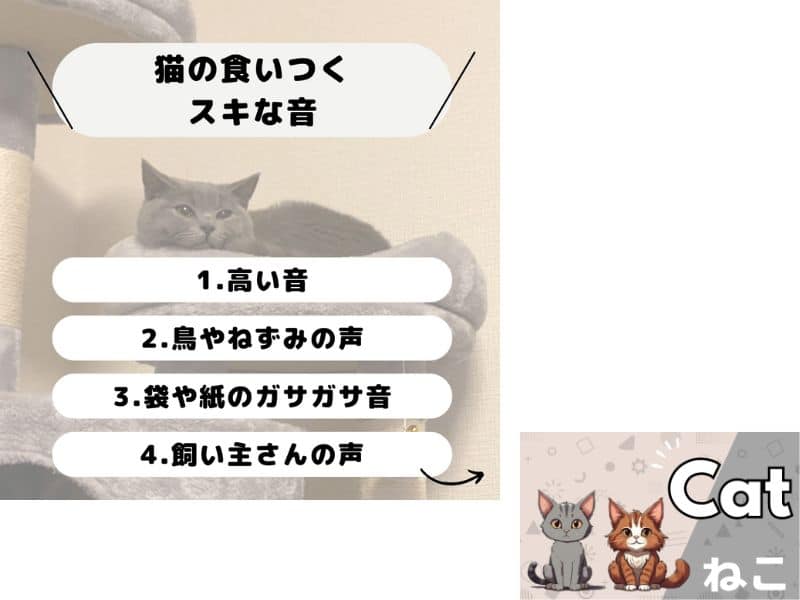 猫の好きな音よっつについての紹介