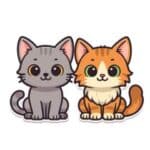 ムン&メル