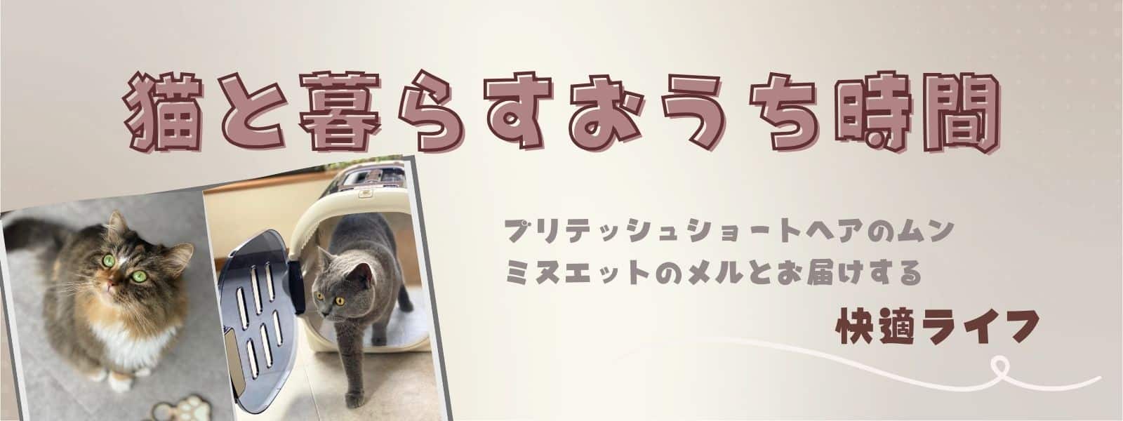 猫と暮らすおうち時間