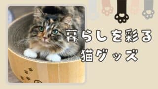 暮らしを彩る猫グッズ
