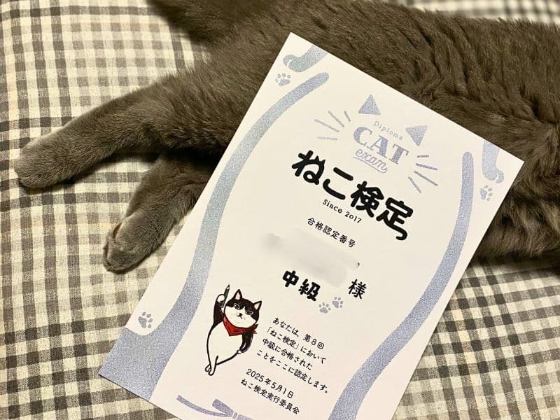 ねこ検定中級の合格証書