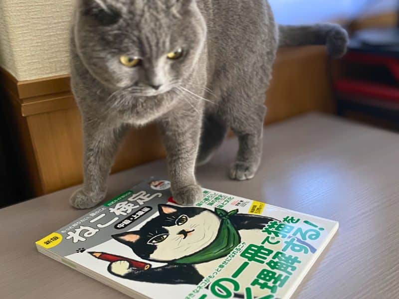 ねこ検定中級・上級のテキストとムン