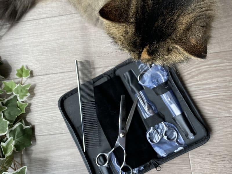 長毛猫とトリミングシザーセット