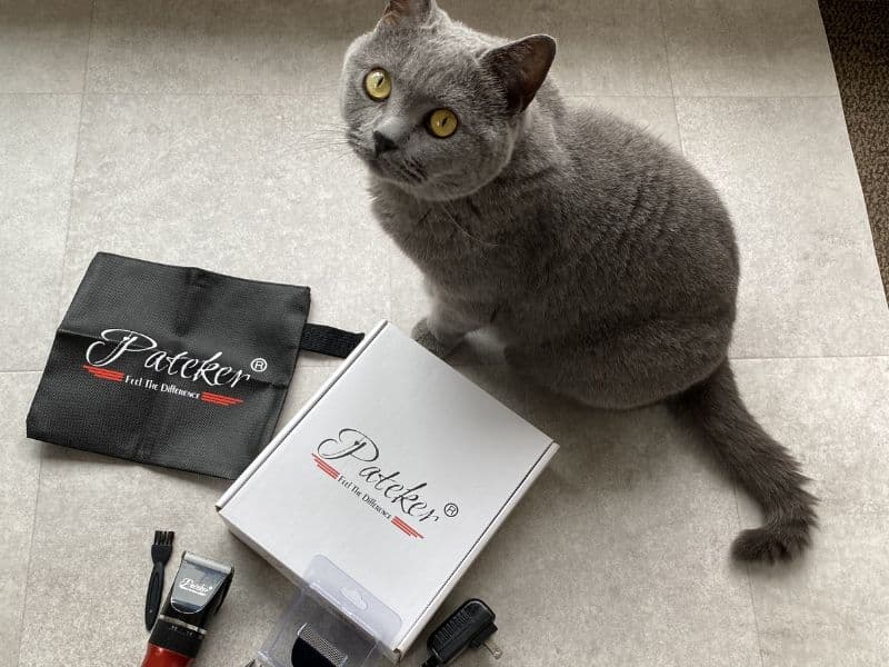 ブリティッシュショートヘアとPatekerバリカン