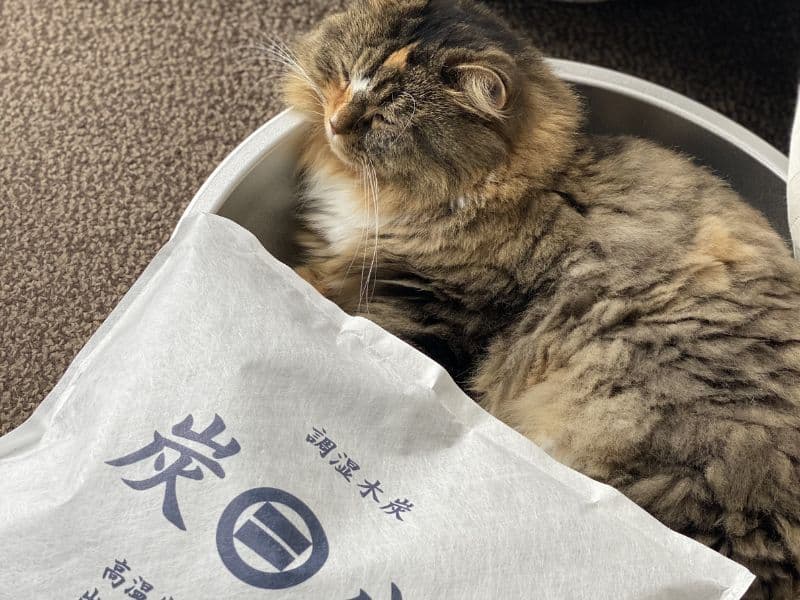 炭八を猫のトイレ周りに置いた様子