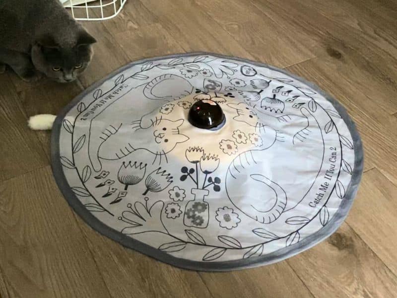 キャッチミーイフユーキャンで遊ぶムン