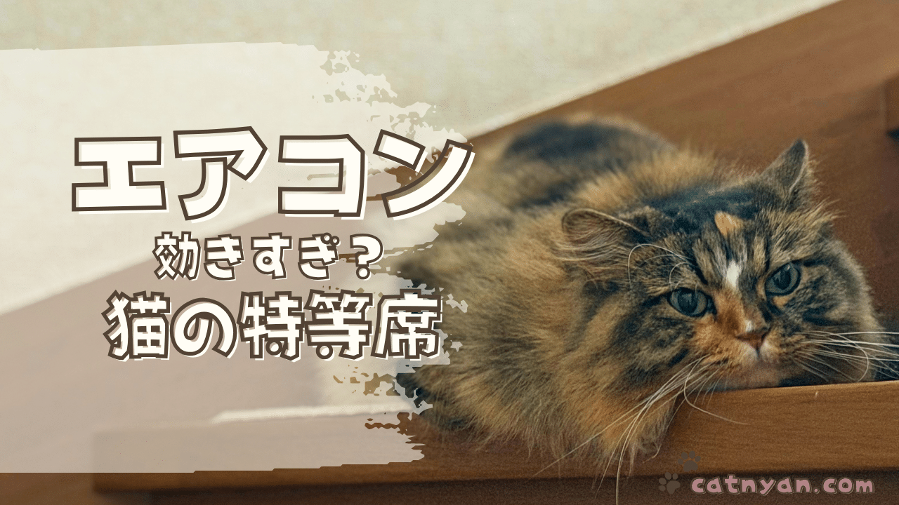 エアコンの効いたリビングから離れた場所で涼むムン