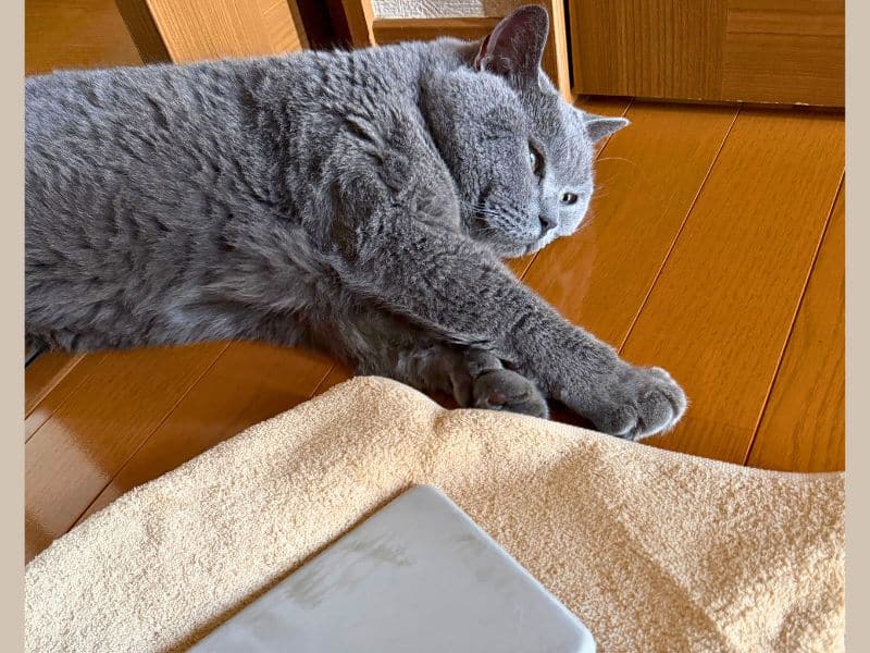 洗面所で保冷剤に手を伸ばすムン