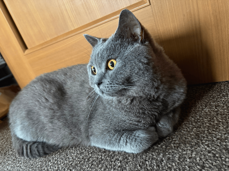 感染症も良くなってふっくらしたムン