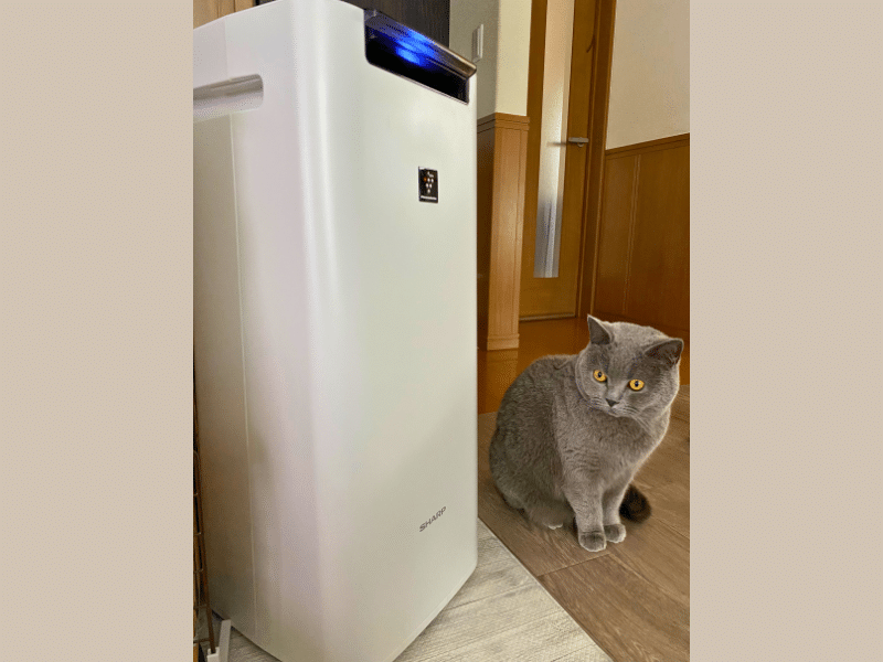 我が家で使っている空気清浄機加湿器の写真